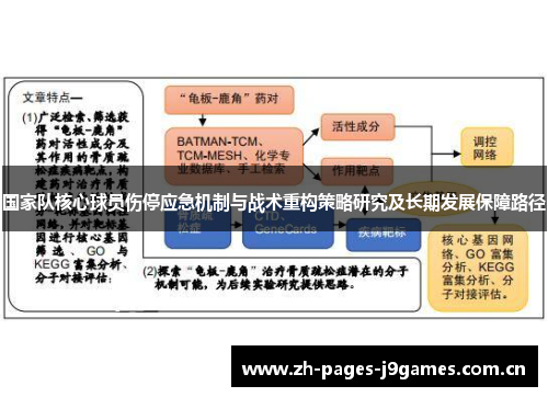 国家队核心球员伤停应急机制与战术重构策略研究及长期发展保障路径
